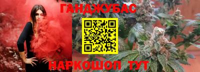 гидра Камышлов