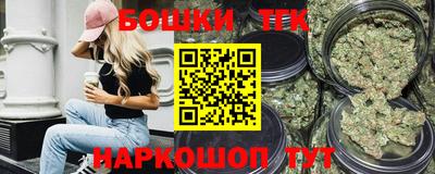 гидра Камышлов