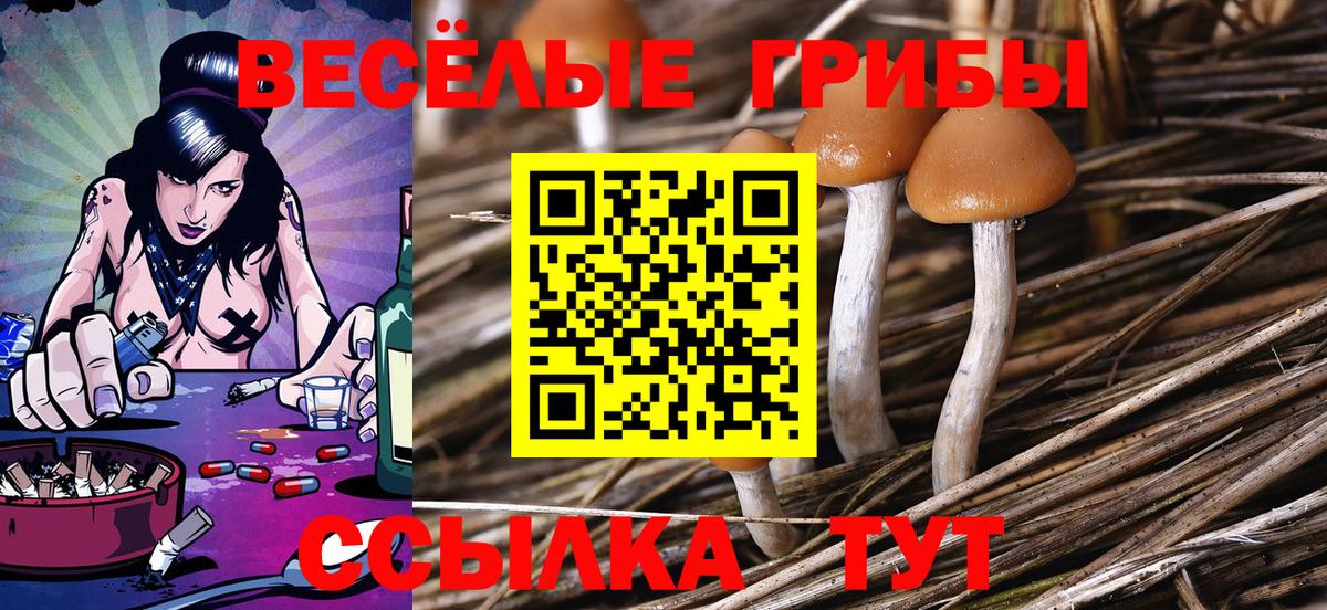 Псилоцибиновые грибы прущие грибы  наркошоп  Курчалой  Вход с VPN 